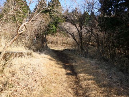 少しだけ平坦な道があるけど、この高原地帯っぽいところをまずは抜けないといけない