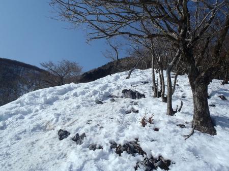 もう息切れ状態でやっとピークらしきところにでた
