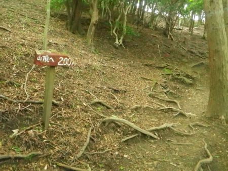 山頂へ200mというプレートがやっとでてきた。雰囲気的には山頂に近い感じはしていたけど、手前で稜線に出るはずなんだけどね