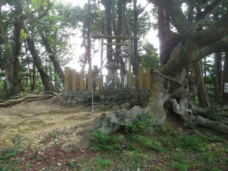 これは山頂でありながら雨山城址で何かが祀られている。木のところも入ってはいけないようだ