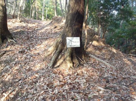 ここで分岐になる。泉原方面はここを下るが今回は尾根道で456mピークへいくので左側を登っていく