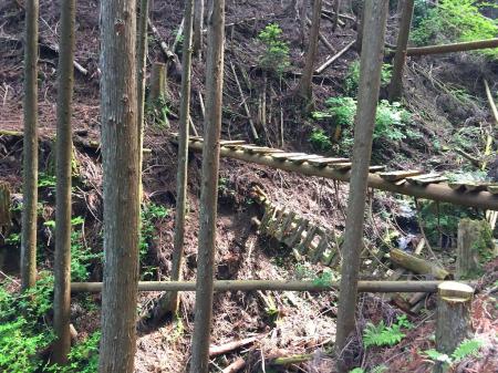 この橋まで進むと行きすぎ。知らずに渡りましたが、登るのはこの手前の尾根になります（次の地図参照）