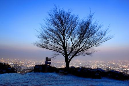 トワイライト雪夜景