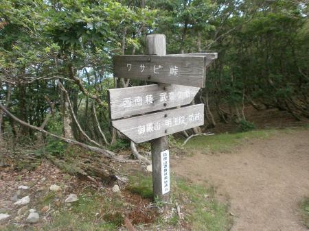 ワサビ峠