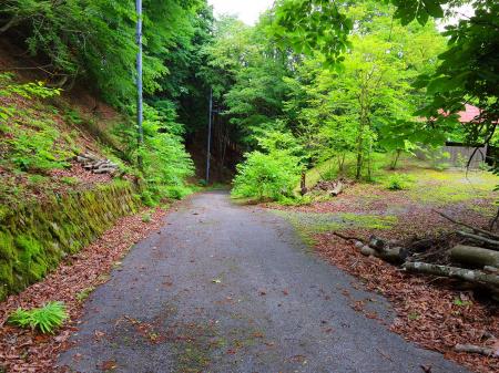 管理道の途中にも東屋があった。登山者のためなのか。でもこの林道を使って登ってくる人なんているのだろうか！？