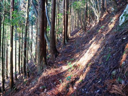 細いトラバースの道だけど、積雪時に凍ったここを通るのはちょっとヤバいかも！？