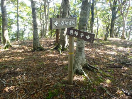 時折、分岐の道標はあるものの、尾根道はだだっ広くてちょい迷いやすい。それに長い