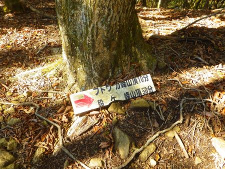 フトウガ峰の山頂まであと１０分で段ヶ峰は５０分もかかるのか
