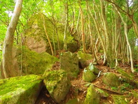 烏帽子山のピークへの登りは岩が多くて登りにくいんだけど、下りも気をつけないといけないと思いながら登った