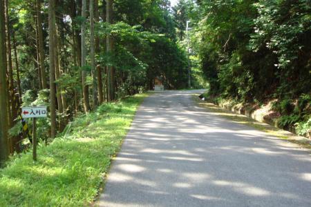 続く林道