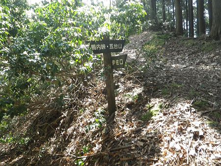 ここで伊佐口への分岐。今回は人気のないルートを選んだつもりだったんだけど、伊佐口からのほうがさらに人気はないようだ