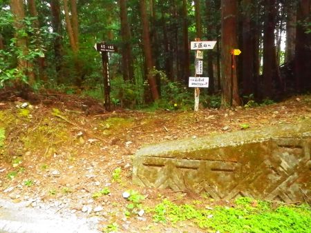 ここから入山する。あくまで玉置山のほうへ向かっていく