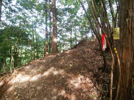 まずは権現山からピークハントするので右へ行く