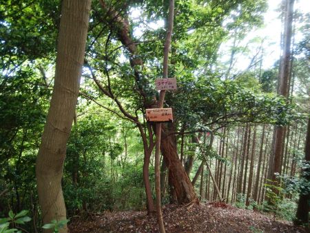 ここにコヤブ山(482.8m)というところがあった。ちょっとしたピークなんだけど山名があった