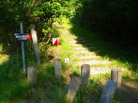戻って鉢伏山登山口から登っていく