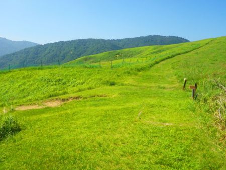 この分岐が小代越で直進すると氷ノ山で鉢伏高原に戻るには左に下る