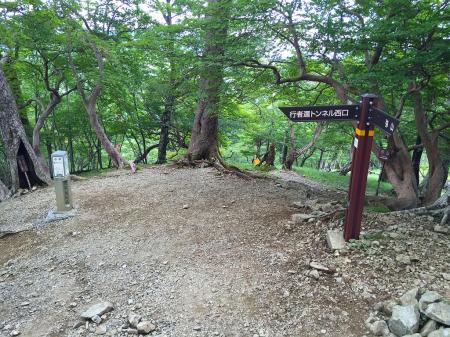 行者還トンネル西口への分岐。今回は東口へ降りるので奥駆道を一ノ垰まで初歩き