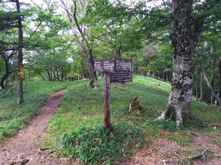 一ノ垰に到着。ここから東口へ降りていく