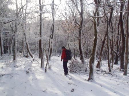 こっち側は雪道になっていた