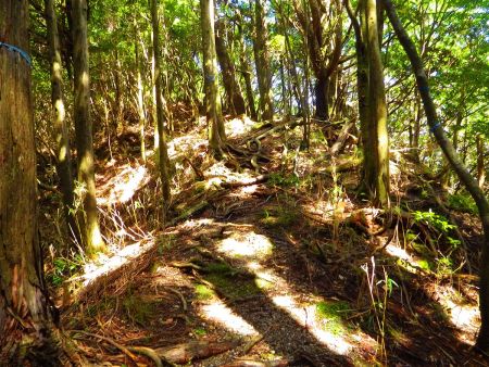 もう一つの尾根に取り付いて北に進んでいく