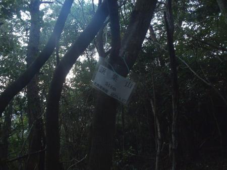 譲葉山頂
