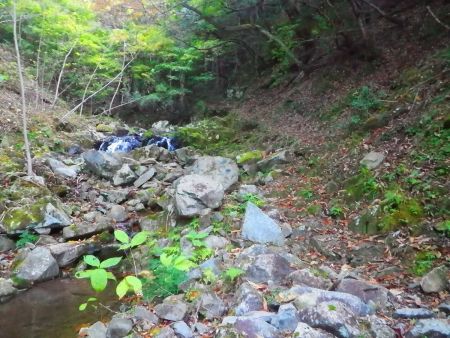 しばらく沢沿いの道が続く。これは夏だとヒルがいてもおかしくないね
