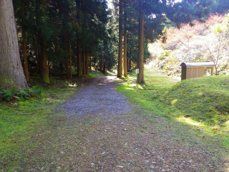 ここからは沢筋の登山道は終わって林道歩きがはじまる。タイヤの跡があったけど糸井の大カツラまで車で入れるのかな！？