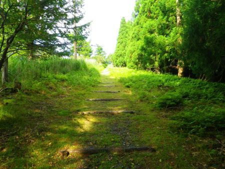 ここを登りきると山頂。最後まで木の階段があって整備されていた