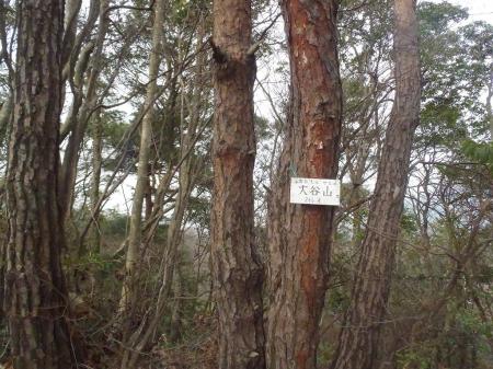 大谷山(266.4m)に到着