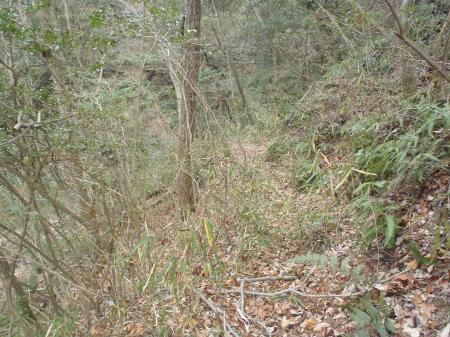 早刈山を下ると北側の尾根へのルートはあったので、右側の尾根で一蓋被の嶺へ登ることにした