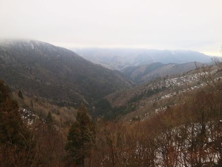細尾根の途中にある唯一の展望地かな。ガスってるのが残念だけどね