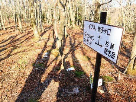 分岐に戻ってタイジョウへ向かう