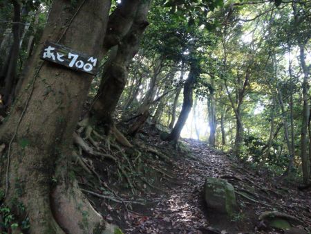 山頂まであと700m。こういうプレートが設置されているのは親切だ