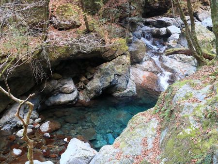沢の水が綺麗。大峰ブルーとまでいかないけど青いね