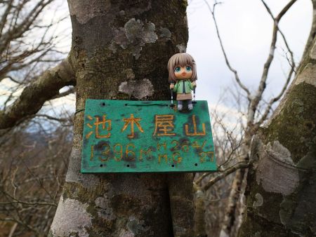 せっかくなので池木屋山の山頂プレートと雪村あおいちゃんを撮影しておいた