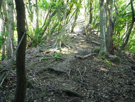 燈明ヶ岳の山頂への登りはロープがあるけど余裕で登れた