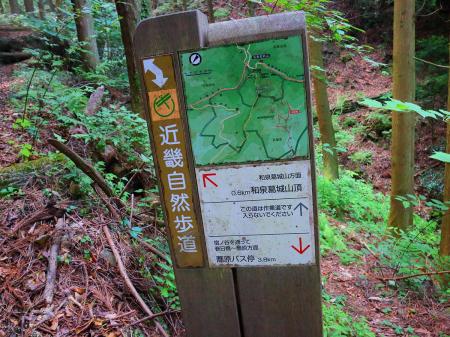 和泉葛城山頂まで0.6kmか。もう400mも進んでるんだね
