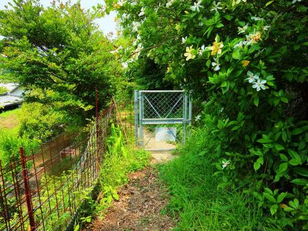 獣除けの柵かな！？ここで登山道が終わって集落に出る