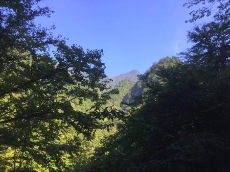 バリゴヤかな！？天気はばっちり