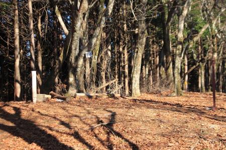 山頂が見えた