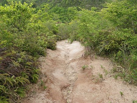 一気に標高100mほど下っていくことになる。下りもザレ場になっていて滑りやすかった。この先は階段になるけど、段差がすごかった