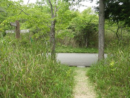あっという間に道路に出た。ここも登山口ぽいけど、道標があるだけで何も書いてなかった。道路を右へ行くんだけど、左側に駐車場があったのでそこに駐車して最初に道路を歩いていればよかった