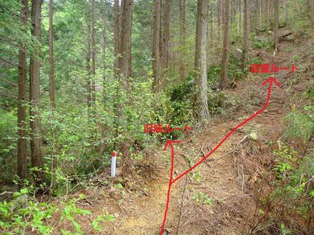 これを右へ登ると尾根道。今回は先に沢筋から登るので左の沢筋へ（画像は見えにくい）