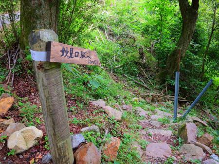 道路から妙見口駅へピストンで戻る。20分と書いてあるけど、本当にちょうど20分くらいで着いた