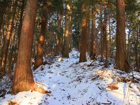 尾根をひたすら登っていくと向こうにピークらしきものが見えた。もう完全にこれは雪山登山だね