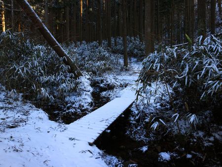 この橋を渡ると登山道らしい谷の道になり登っていく