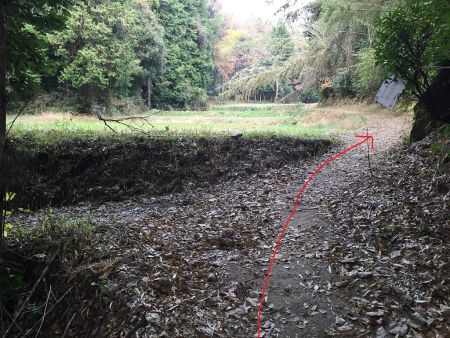 分岐があるが田んぼの道を歩く