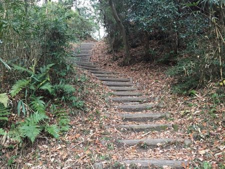 ちょい急登