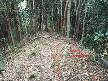 ここが少しわかりにくいが、この地点で右へ下り谷道へ降りる。右にいくとすぐに階段がある