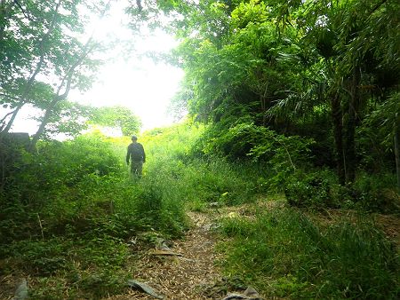 干潮はお昼なので、最初は山に登ることにした。とりあえず海岸沿いの山端を歩いていく